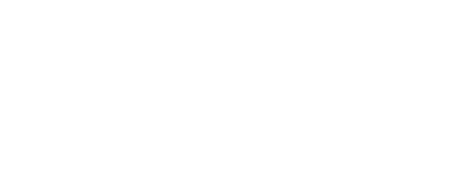 FNA Fight Night Apparel logo